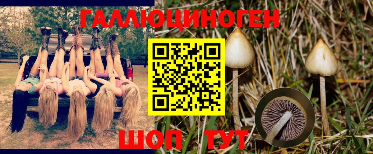 Галлюциногенные грибы мухоморы  Псилоцибиновые грибы Magic Shrooms  Вход с VPN  Черногорск 